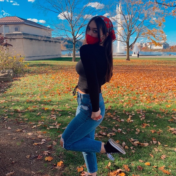 Meet your Posher, Elsie - Picture 1 of 1